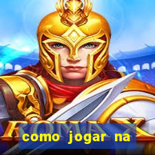 como jogar na lotinha do jogo do bicho