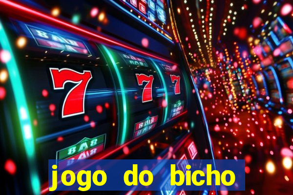 jogo do bicho crash bingo