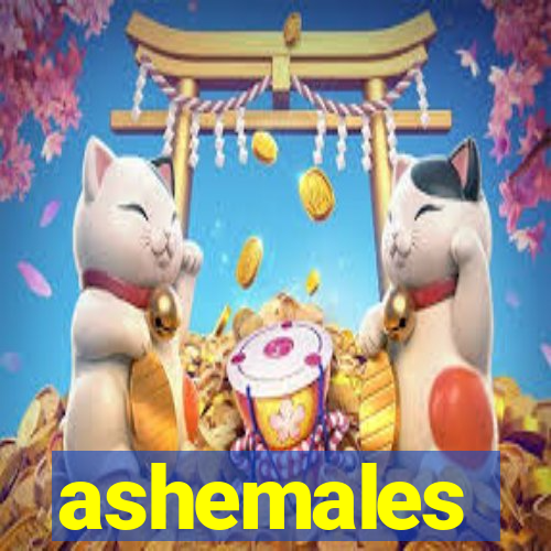 ashemales