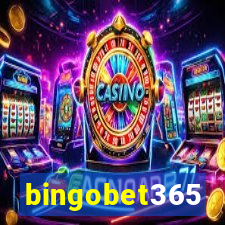 bingobet365