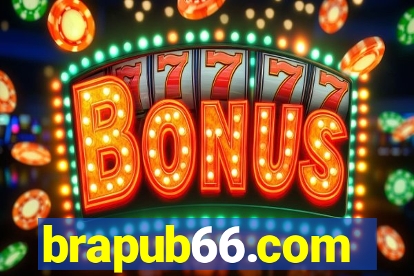 brapub66.com