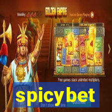 spicybet-2.com