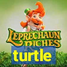 turtle-ty.com